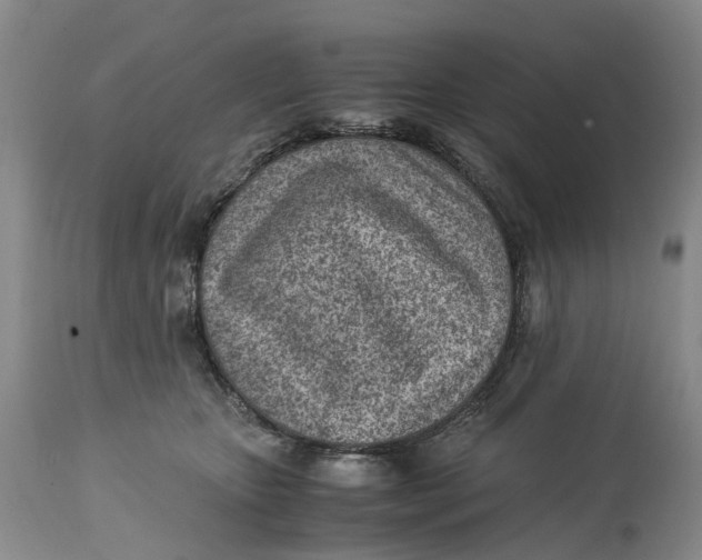 X0000115000467200911161541