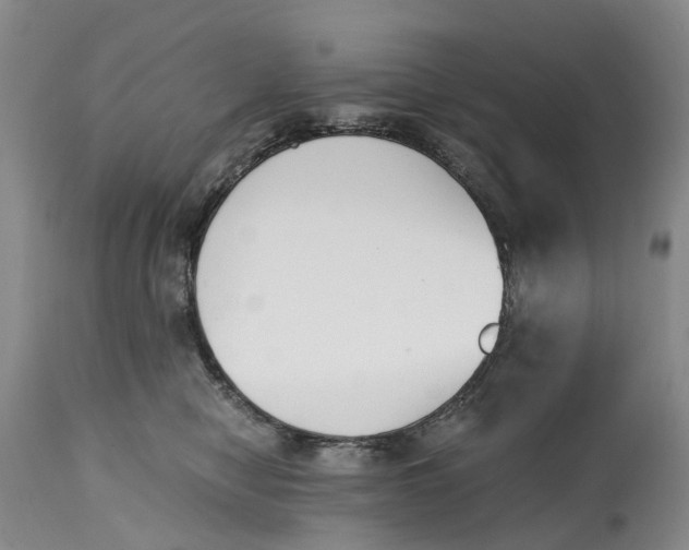 X0000115000470200911161541