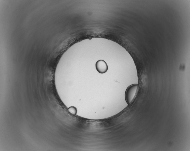 X0000115000472200911161541