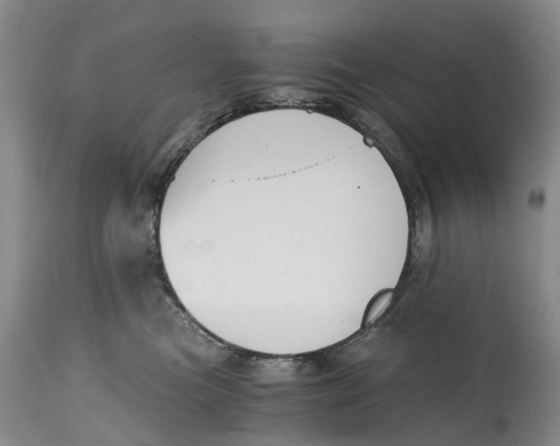 X0000115000473200911161541