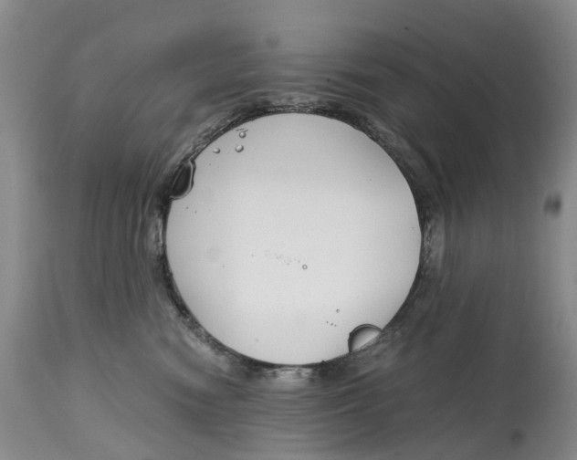 X0000115000474200911161541