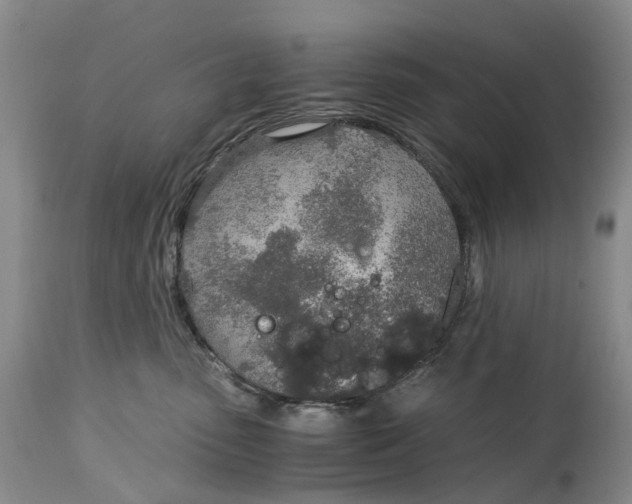 X0000115000475200911161541