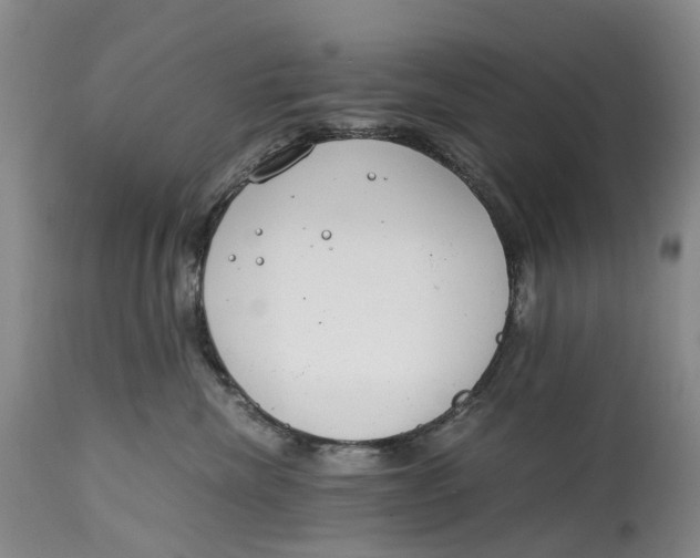 X0000115000476200911161541