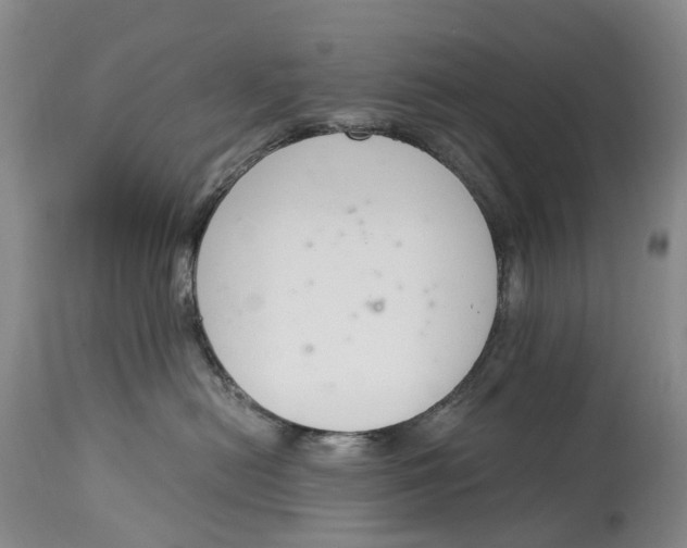 X0000115000478200911161541