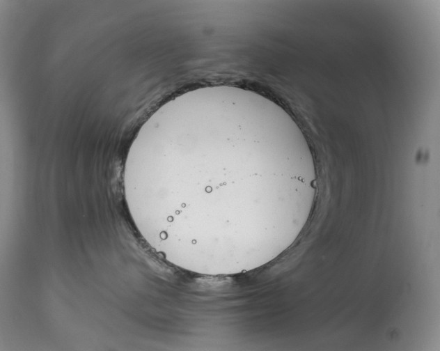 X0000115000480200911161541