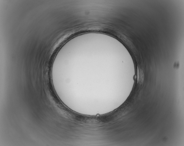 X0000115000483200911161540