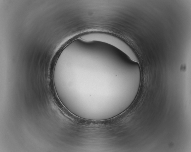 X0000115000484200911161540