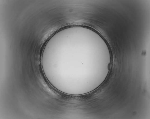 X0000115000485200911161540