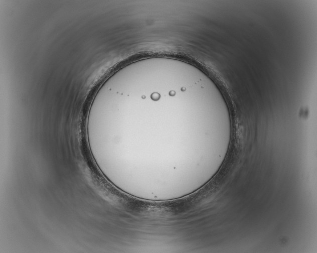 X0000115000487200911161540