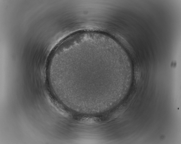 X0000115000488200911161540