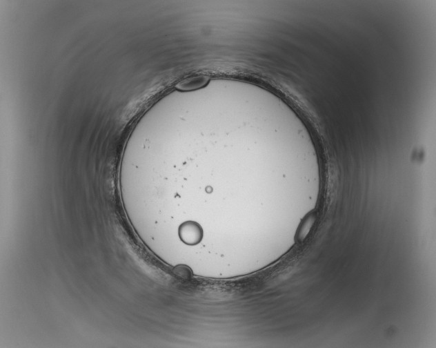 X0000115000489200911161540