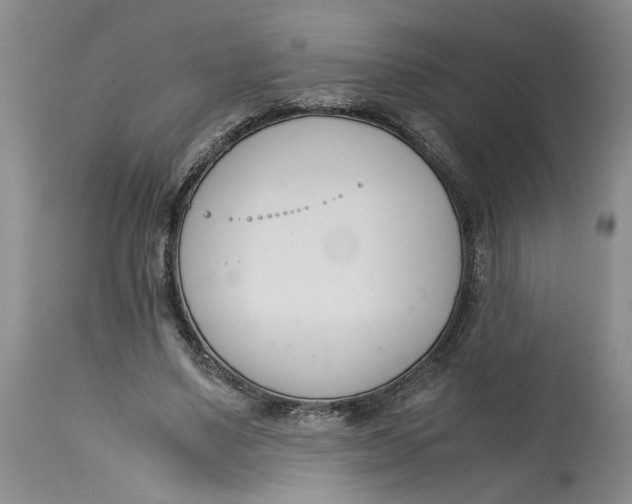 X0000115000491200911161540