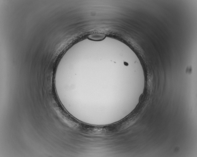 X0000115000493200911161540