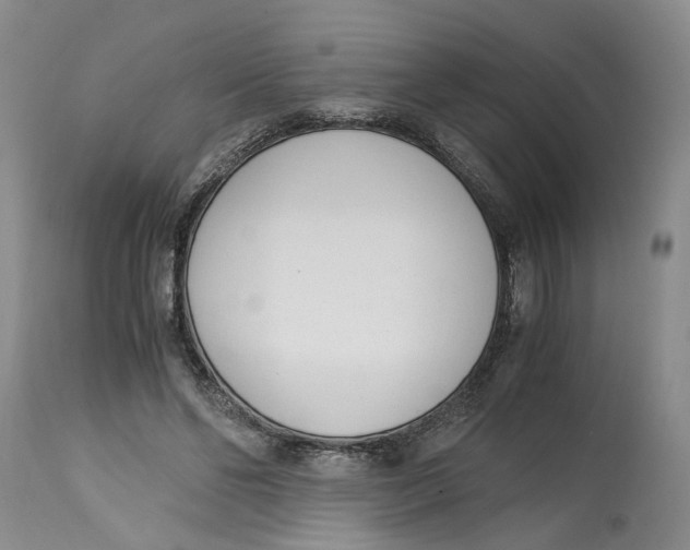 X0000115000494200911161540