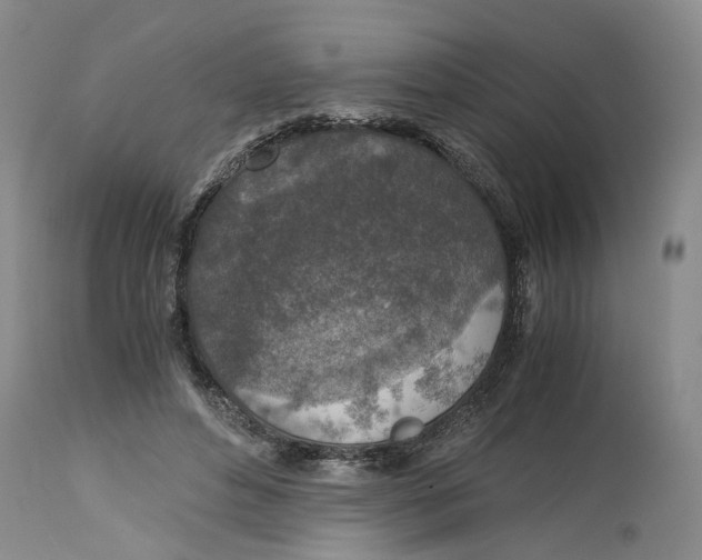 X0000115000496200911161540