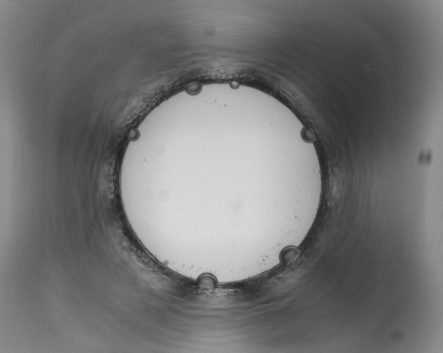 X0000115000497200911161540