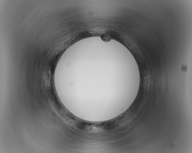 X0000115000498200911161540