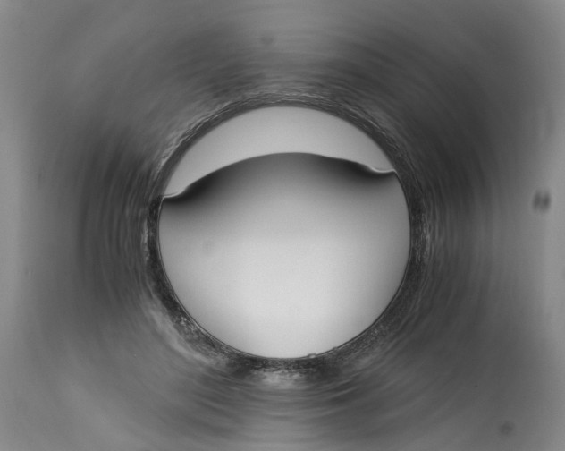 X0000115000500200911161540