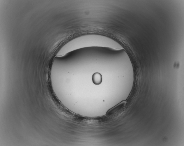 X0000115000501200911161540