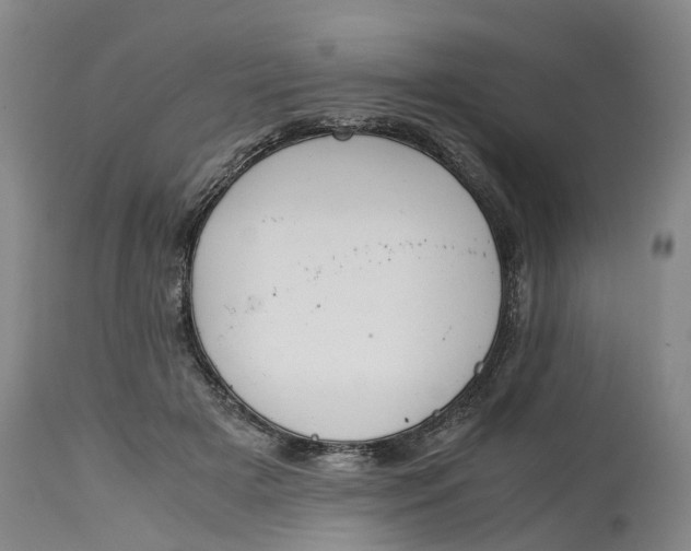 X0000115000505200911161540