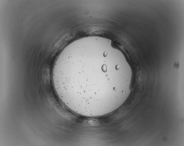 X0000115000506200911161540