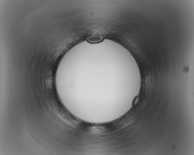 X0000115000508200911161540