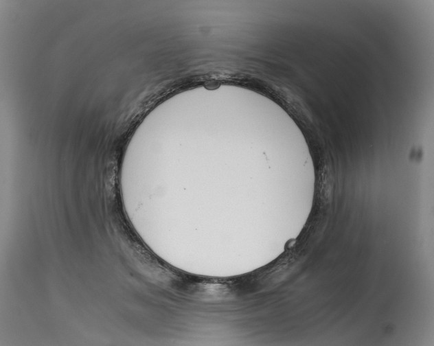 X0000115000509200911161540