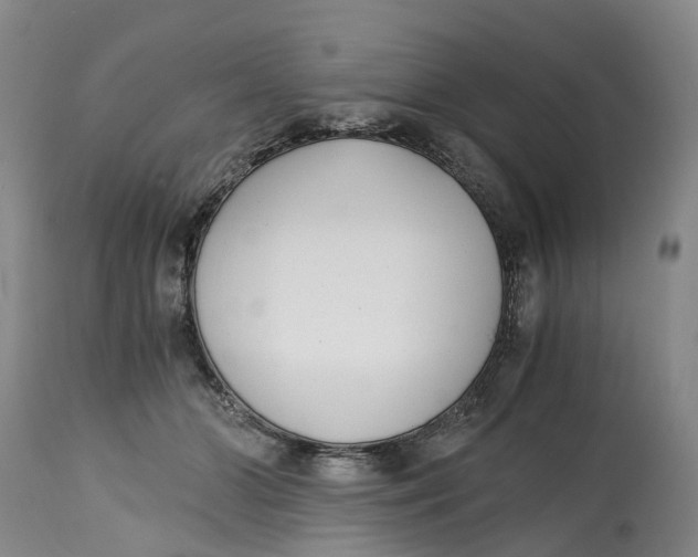 X0000115000510200911161540