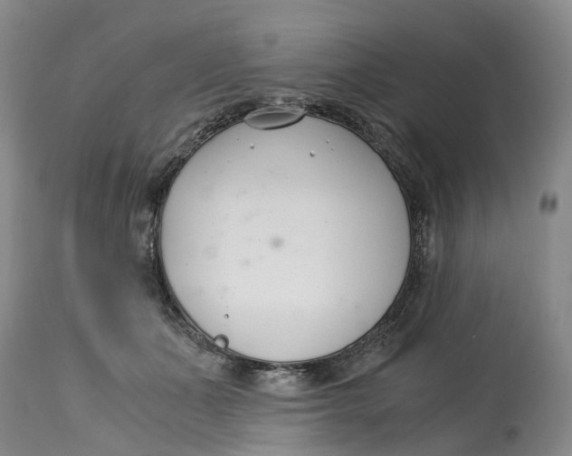 X0000115000511200911161540