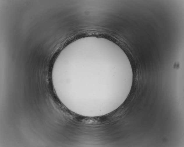 X0000115000512200911161540