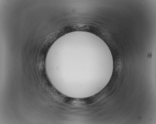 X0000115000515200911161540