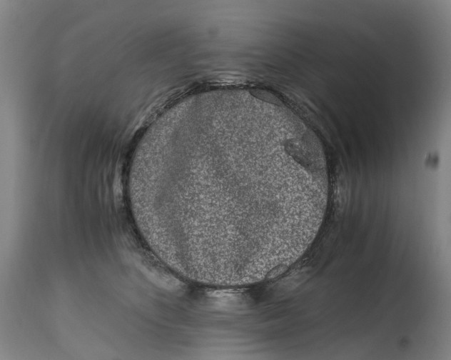 X0000115000516200911161540