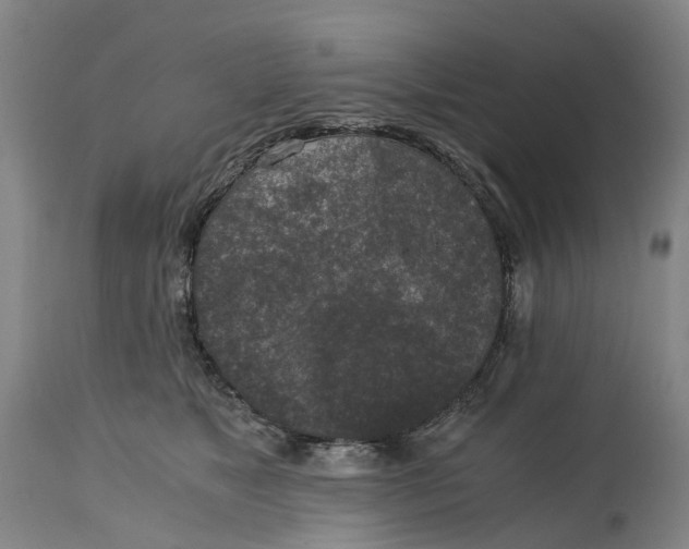 X0000115000517200911161540