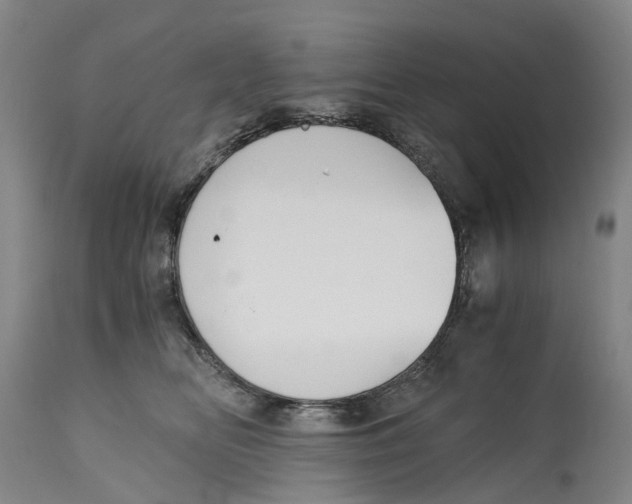 X0000115000518200911161540