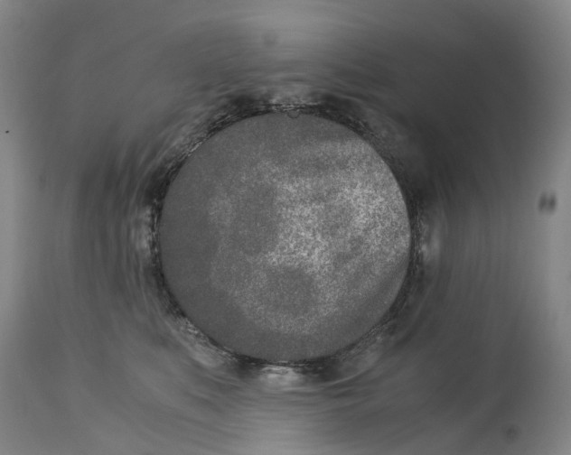 X0000115000519200911161540