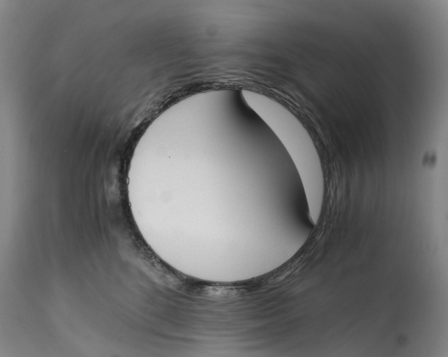 X0000115000520200911161540