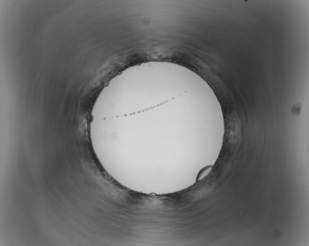 X0000115000523200911161540