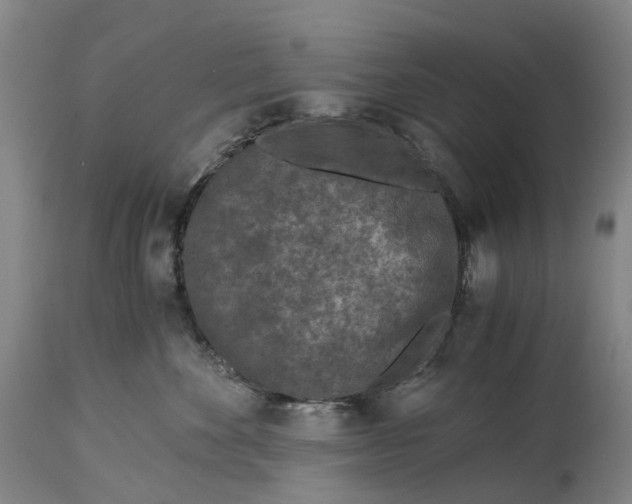 X0000115000524200911161540