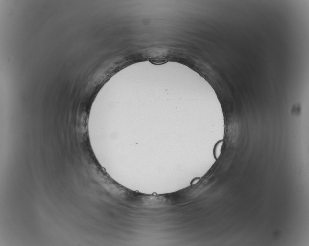 X0000115000525200911161540