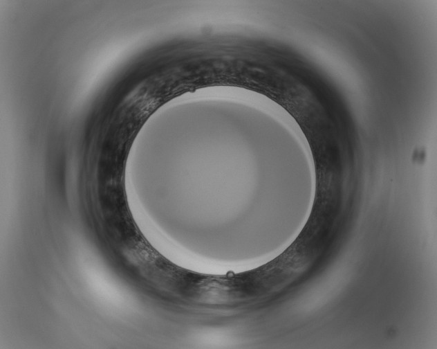 X0000115000526200911161540