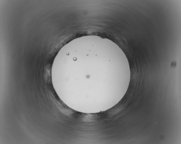 X0000115000527200911161540