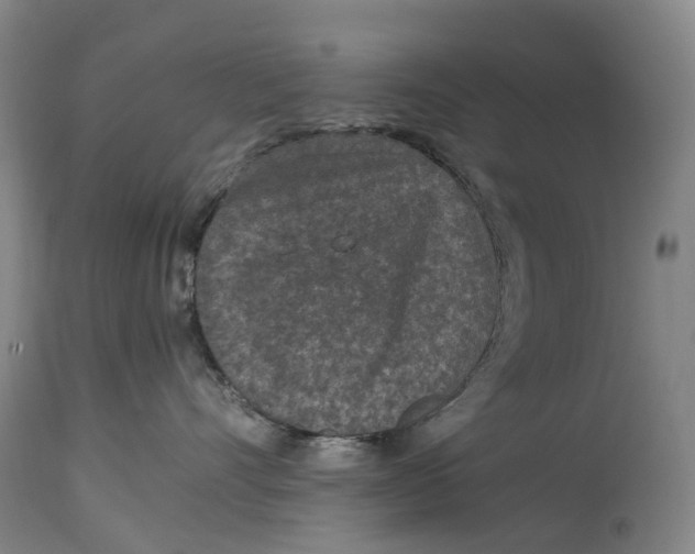 X0000115000528200911161540