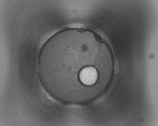 X0000115000529200911161539