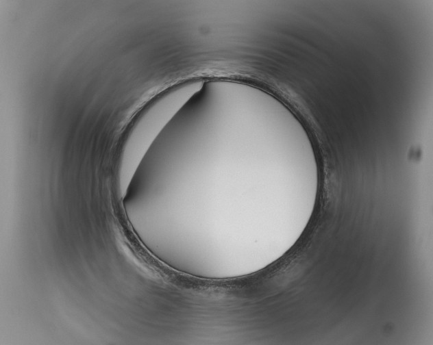 X0000115000530200911161539