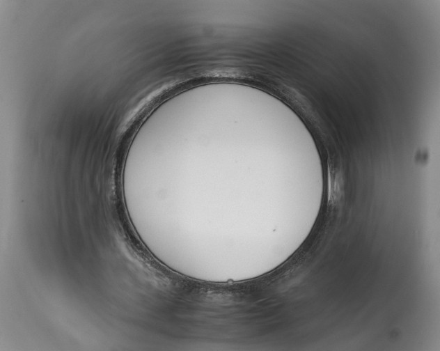 X0000115000531200911161539