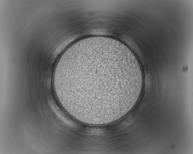 X0000115000533200911161539