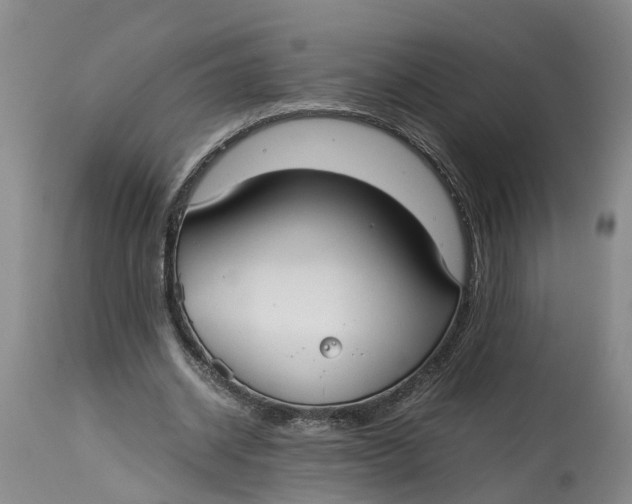 X0000115000534200911161539