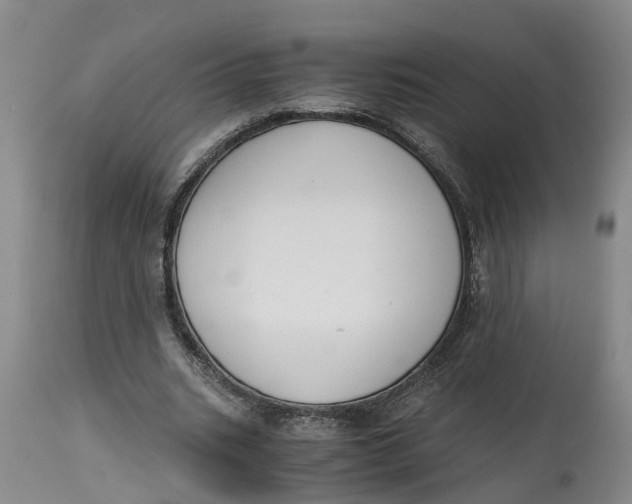 X0000115000535200911161539