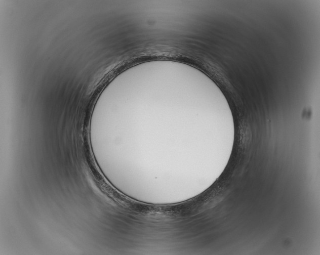 X0000115000538200911161539