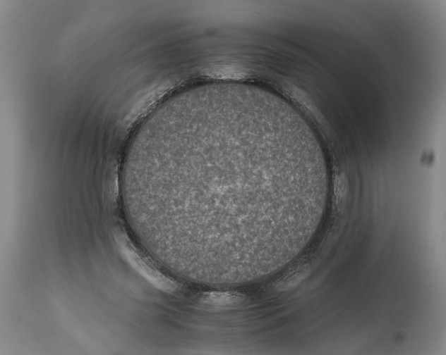 X0000115000541200911161539